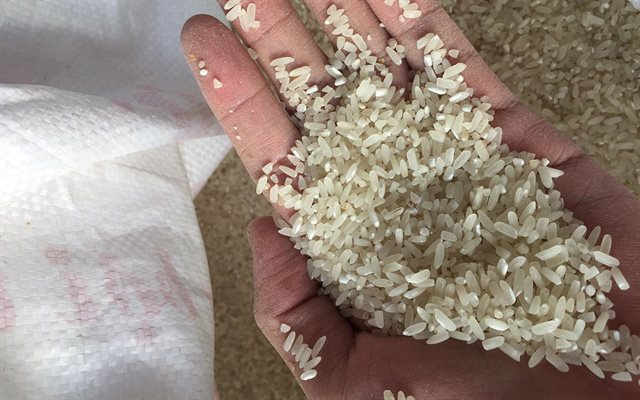 Cách chống mốc cho gạo 1